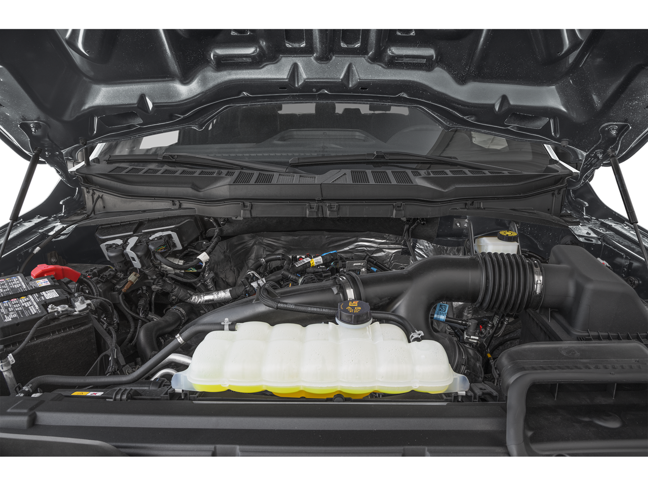 2026 Ford F-150 STX LOBO