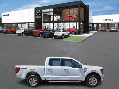 2024 Ford F-150 XLT