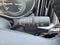 2026 Mazda Mazda CX-50 2.5 S Select