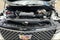 2024 Cadillac Escalade 4WD Premium Luxury