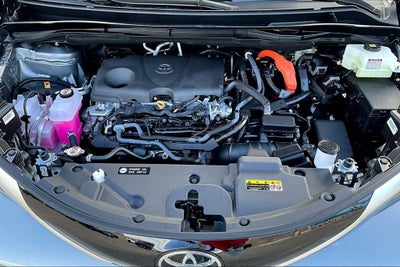 2026 Toyota Sienna Platinum 7 Passenger